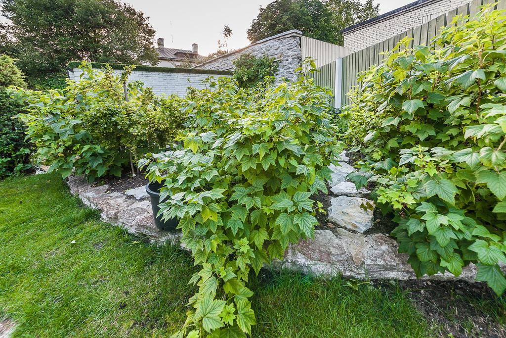 City Center Garden Camping Tallinn Bagian luar foto