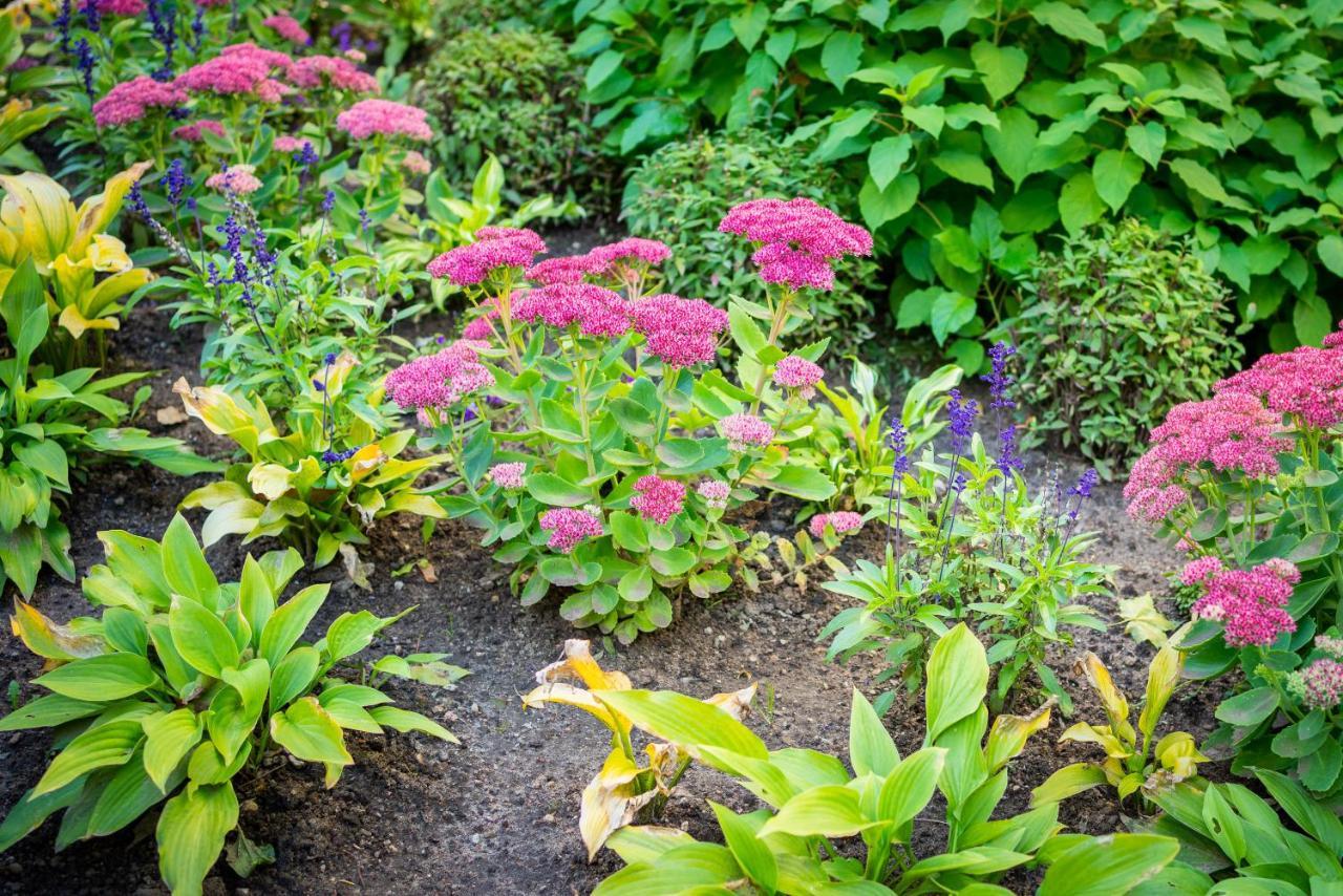 City Center Garden Camping Tallinn Bagian luar foto
