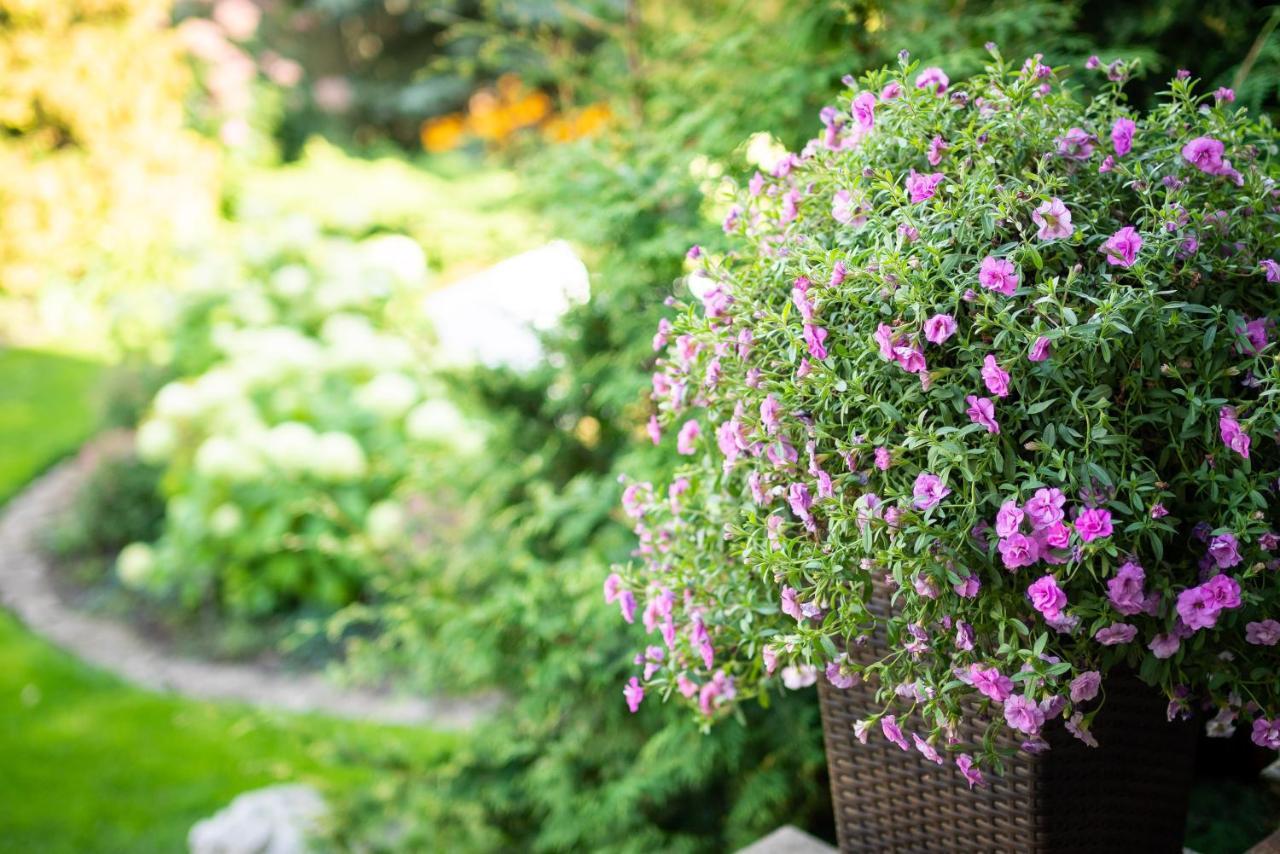 City Center Garden Camping Tallinn Bagian luar foto
